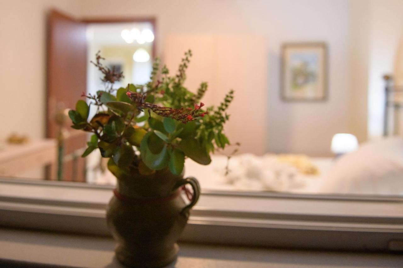 Willa Casa Elisabetta Corfu Kynopiástai Zewnętrze zdjęcie